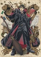 Dodo Harry Potter: Dynasty of the Wizards - Harry - puzzle image