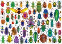 Educa Beetles - puzzle image