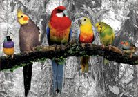 Educa Birds on the Jungle - puzzle image