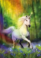Educa Chasing The Rainbow - puzzle image