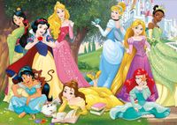 Educa Disney Princess - obrázek puzzlí
