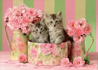 Educa Kittens with Roses - obrázek puzzlí