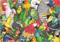 Educa Parrots - puzzle image