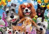 Educa Selfie Pet Parade - obrázek puzzlí