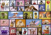 Educa Shared Moments - puzzle image