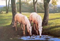 Educa Sweet Waters - puzzle image