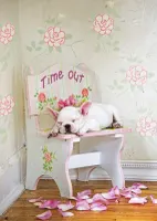 Educa Taking Time Out - obrázek puzzlí