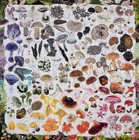EeBoo Mushroom Rainbow - puzzle image