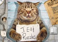 Eurographics Feline Felon - obrázek puzzlí