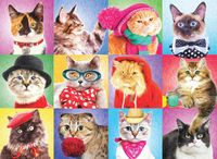 Eurographics Silly Cats - puzzle image