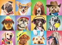 Eurographics Silly Dogs - puzzle image