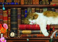 Eurographics The Cat Nap - obrázek puzzlí