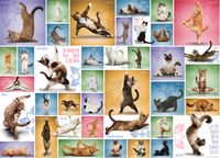 Eurographics Yoga Cats - obrázek puzzlí