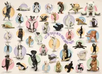 Eurographics Yoga Puppies - puzzle image