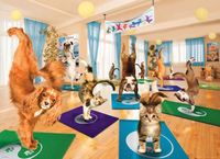 Eurographics Yoga Studio - puzzle image