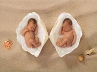 F.X. Schmid Muschelbabys - obrázek puzzlí