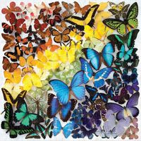Galison Butterflies - obrázek puzzlí