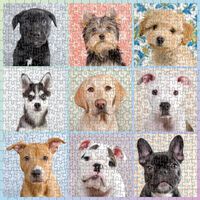 Good Puzzle Co. Dog Portraits - puzzle image