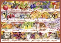 Gibsons Woodland Seasons - Autumn - puzzle image