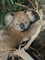 Golden G'day Mates - puzzle image