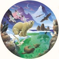 Grovely Arctic Discovery - puzzle image
