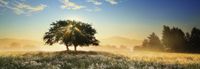 Heye Play of Light - puzzle image