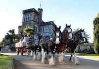 Holdson Larnach Castle - obrázek puzzlí