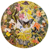 James Hamilton Butterflies of Asia - obrázek puzzlí