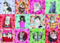 Jumbo Adorable cats - obrázek puzzlí