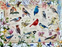 Jumbo Birds & Flowers - Puzzlebild