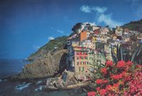 Jumbo Riviera - obrázek puzzlí