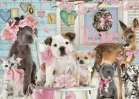 Jumbo True Love - puzzle image