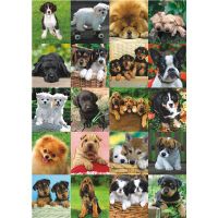 Jumbo Willst du mein Freund sein? - puzzle image