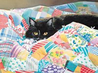 Lang Grandma's Quilt - puzzle image