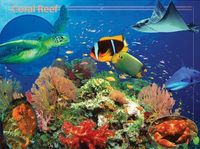 Majestic Puzzle Company Coral Reef - imagen del puzzle