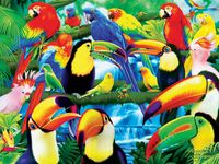 Masterpieces Bird Fiesta - obrázek puzzlí