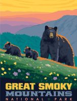 Masterpieces Great Smoky Mountains - puzzle image