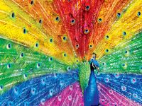 Masterpieces Brilliance: Peacock Delight - puzzle image