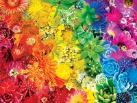 Masterpieces Sun Succulents - puzzle image