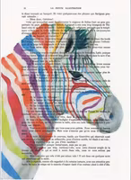 MB Puzzle Coco de Paris - Rainbow Zebra - puzzle image