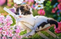 MB Puzzle Kitten in Deckchair - puzzle image