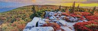 Mega Puzzles Dreamland - Puzzlebild