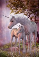 M.I.C. Zauberwald - obrázek puzzlí