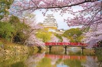 Mindbogglers Himeji Castle, Japan - puzzle image