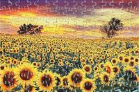 Misitu Sunflower - puzzle image