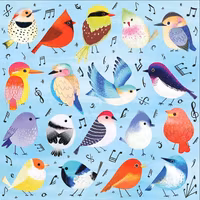 Mudpuppy Songbirds - obrázek puzzlí