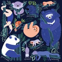 Mudpuppy Tree-dwelling Slowpokes - obrázek puzzlí