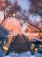 Nathan Chemin des lanternes, D.Hernandez - obrázek puzzlí