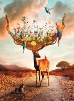 Nathan L'appel de la nature - puzzle image