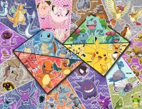 Nathan Les 16 types de Pokémon - puzzle image